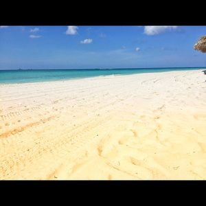 Meet your Posher, Dan